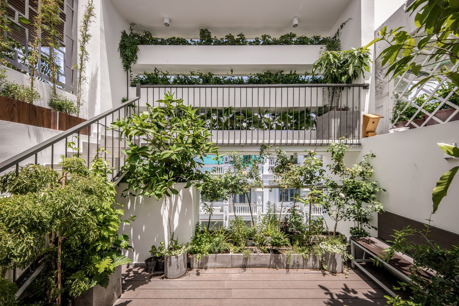 Thiết kế cây cảnh - không gian xanh cho ngôi nhà